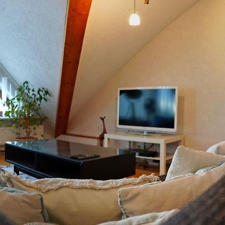 Grosse, Helle Wohnung Fuer Bis Zu 6 Personen Weinheim Buitenkant foto
